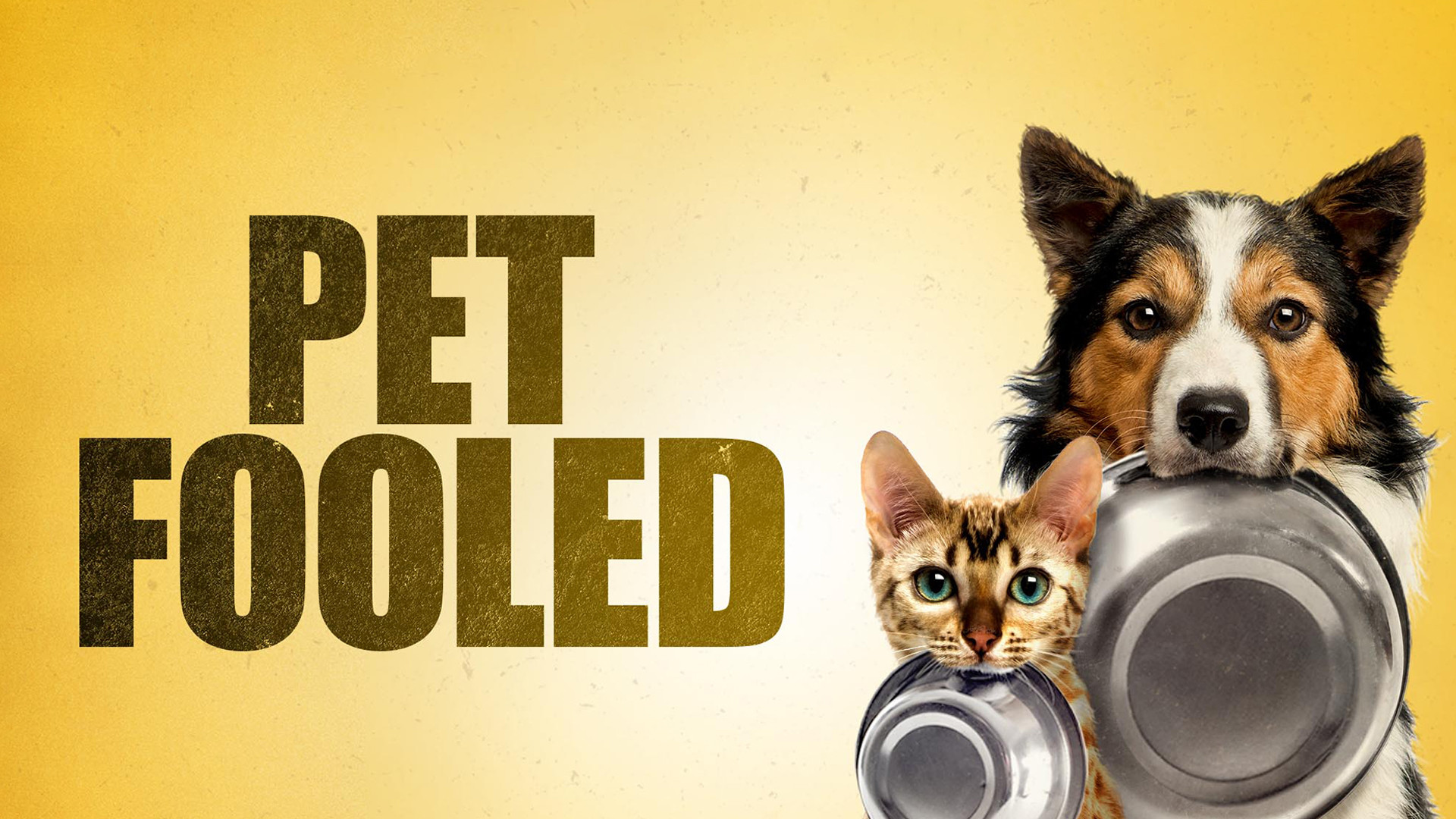 Pet Fooled